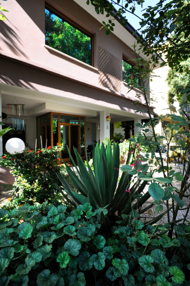 il-nostro-green-hotel-il-nostro-giardino-le-nostre-piante-vintage-hotel-fiuggi-maria-letizia-fiuggi-terme